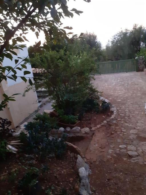A Modern Farmhouse With Big Garden Trapeza  Luaran gambar