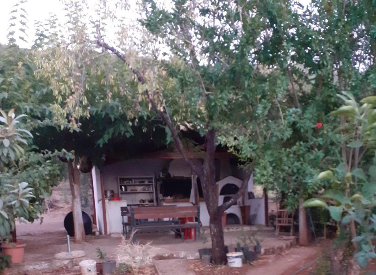 A Modern Farmhouse With Big Garden Trapeza  Luaran gambar