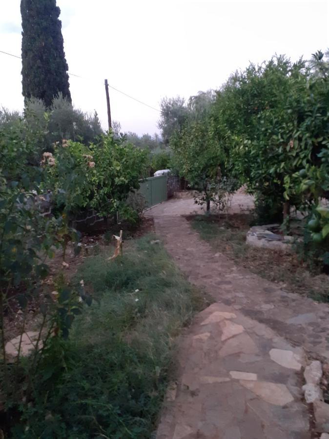 A Modern Farmhouse With Big Garden Trapeza  Luaran gambar