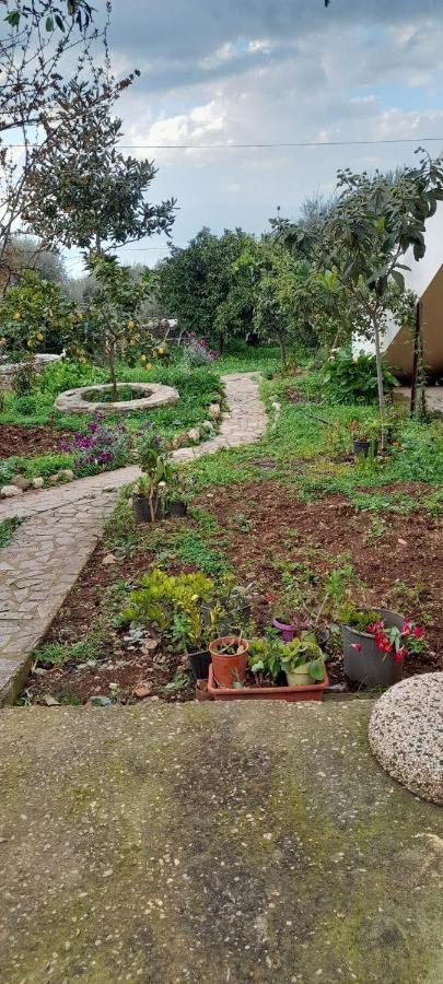 A Modern Farmhouse With Big Garden Trapeza  Luaran gambar