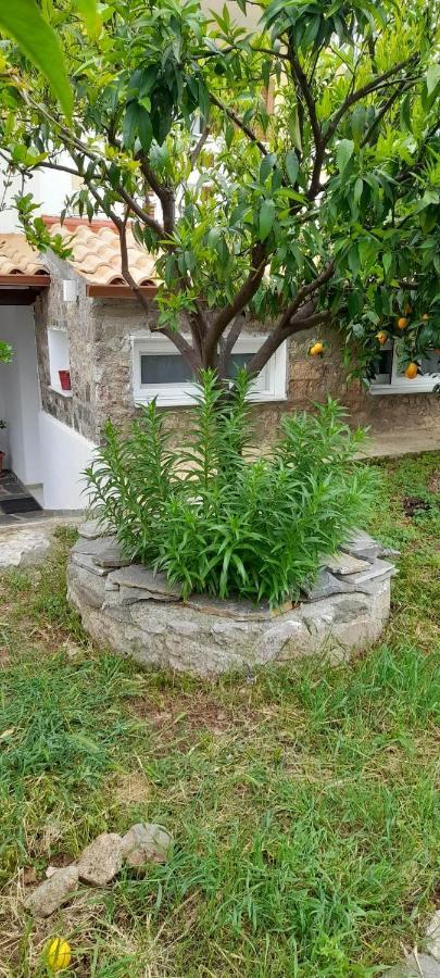 A Modern Farmhouse With Big Garden Trapeza  Luaran gambar