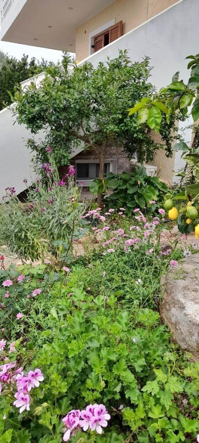 A Modern Farmhouse With Big Garden Trapeza  Luaran gambar