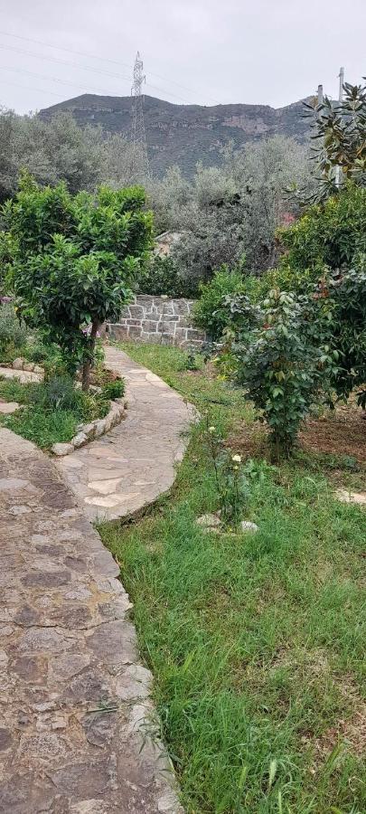 A Modern Farmhouse With Big Garden Trapeza  Luaran gambar